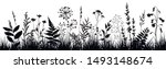 Abstract background with black silhouettes of meadow wild herbs and flowers. Wildflowers. Field. Floral background. Wild grass. Vector illustration.