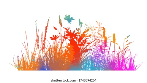 Abstract background with black silhouettes of meadow wild herbs and flowers. Wildflowers. Floral background. Wild grass. Vector illustration.