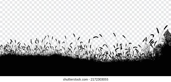 Abstract background with black silhouettes of meadow wild herbs and flowers. Wildflowers. Floral background. Wild grass. Vector illustration.