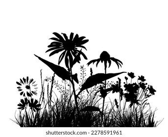 Abstract background with black silhouettes of meadow wild herbs and flowers. Wildflowers. Floral background. Wild grass. Vector illustration.