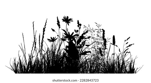Abstract background with black silhouettes of meadow wild herbs and flowers. Wildflowers. Floral background. Wild grass. Vector illustration.