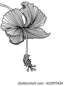 Abstract background with blooming hibiscus