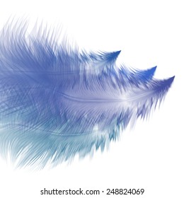 Abstract background with blue feathers. Eps10