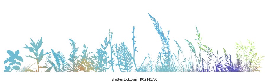 Abstract background with blue silhouettes of meadow wild herbs and flowers. Wildflowers. Floral background. Wild grass. Vector illustration.