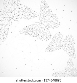 Abstract background with butterflies of lines and dots, polygonal geometric structure. Vector design