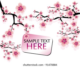 abstract background with cherry blossom and banner