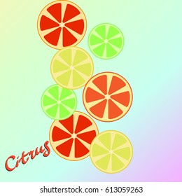 Abstract background of citrus mix.Eps10.