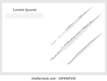 Abstract background of claws Scratches white pattern with copy space.  