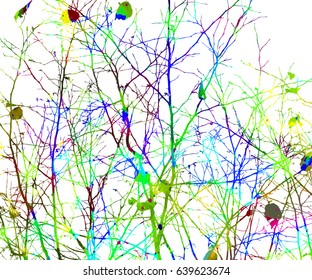 Abstract background from colored tree branches. Vector