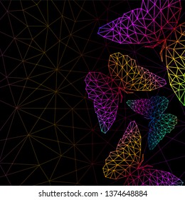Abstract background with colorful butterflies of lines and dots, polygonal geometric structure. Vector design