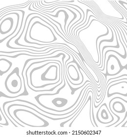 Fondo abstracto de las líneas grises curvadas en un fondo blanco, elemento de diseño