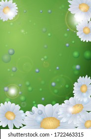Abstract background. Daisies on a green background. Vector illustration.