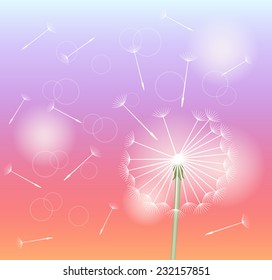 abstract background with dandelion