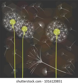 Abstract background of a dandelion for design. The wind blows the seeds of a dandelion. Template for posters, wallpapers, posters. Vector illustrations.