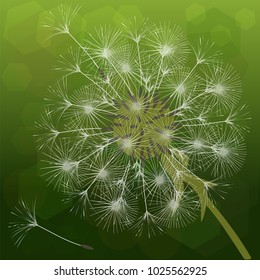 Abstract background of a dandelion for design. The wind blows the seeds of a dandelion. Template for posters, wallpapers, posters. Vector illustrations.