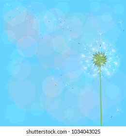 Abstract background of a dandelion for design. The wind blows the seeds of a dandelion. Template for posters, wallpapers, posters. Vector illustrations.