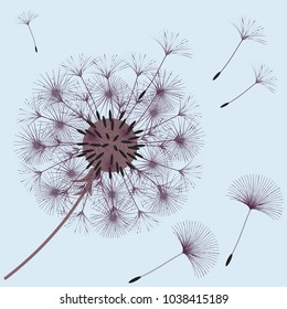 Abstract background of a dandelion for design. The wind blows the seeds of a dandelion. Template for posters, wallpapers, posters. Vector illustrations.