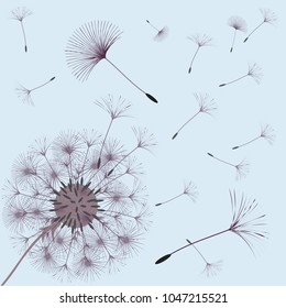 Abstract background of a dandelion for design. The wind blows the seeds of a dandelion. Template for posters, wallpapers, posters. Vector illustrations.