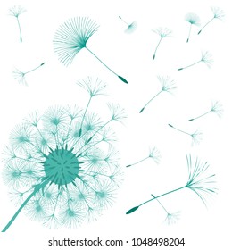 Abstract background of a dandelion for design. The wind blows the seeds of a dandelion. Template for posters, wallpapers, posters. Vector illustrations.