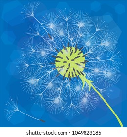 Abstract background of a dandelion for design. The wind blows the seeds of a dandelion. Template for posters, wallpapers, posters. Vector illustrations.