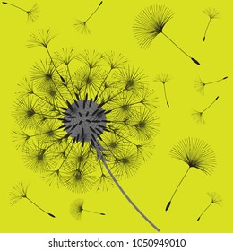 Abstract background of a dandelion for design. The wind blows the seeds of a dandelion. Template for posters, wallpapers, posters. Vector illustrations.