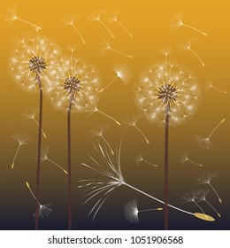 Abstract background of a dandelion for design. The wind blows the seeds of a dandelion. Template for posters, wallpapers, posters. Vector illustrations.