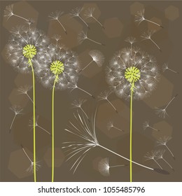 Abstract background of a dandelion for design. The wind blows the seeds of a dandelion. Template for posters, wallpapers, posters. Vector illustrations.