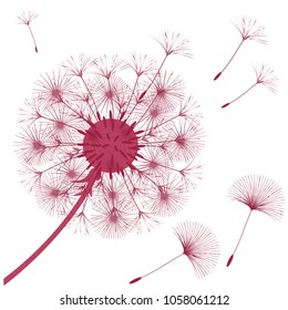 Abstract background of a dandelion for design. The wind blows the seeds of a dandelion. Template for posters, wallpapers, posters. Vector illustrations.