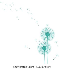 Abstract background of a dandelion for design. The wind blows the seeds of a dandelion. Template for posters, wallpapers, posters. Vector illustrations.