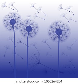 Abstract background of a dandelion for design. The wind blows the seeds of a dandelion. Template for posters, wallpapers, posters. Vector illustrations.