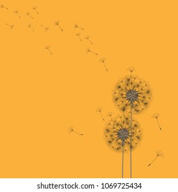 Abstract background of a dandelion for design. The wind blows the seeds of a dandelion. Template for posters, wallpapers, posters. Vector illustrations.