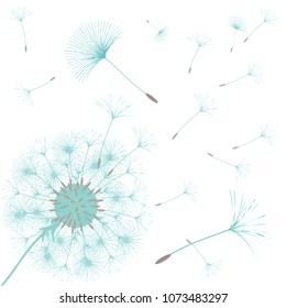 Abstract background of a dandelion for design. The wind blows the seeds of a dandelion. Template for posters, wallpapers, posters. Vector illustrations.