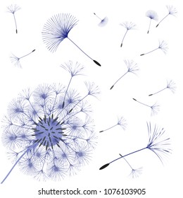 Abstract background of a dandelion for design. The wind blows the seeds of a dandelion. Template for posters, wallpapers, posters. Vector illustrations.