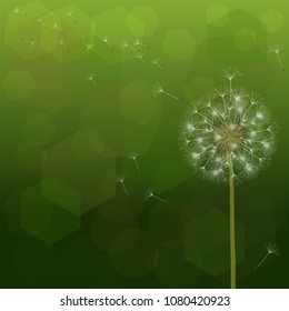 Abstract background of a dandelion for design. The wind blows the seeds of a dandelion. Template for posters, wallpapers, posters. Vector illustrations.