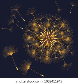 Abstract background of a dandelion for design. The wind blows the seeds of a dandelion. Template for posters, wallpapers, posters. Vector illustrations.