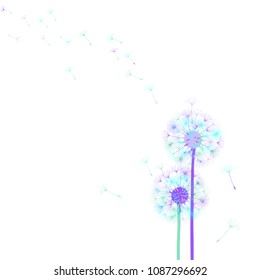 Abstract background of a dandelion for design. The wind blows the seeds of a dandelion. Template for posters, wallpapers, posters. Vector illustrations.