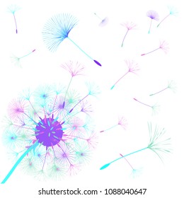 Abstract background of a dandelion for design. The wind blows the seeds of a dandelion. Template for posters, wallpapers, posters. Vector illustrations.