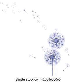 Abstract background of a dandelion for design. The wind blows the seeds of a dandelion. Template for posters, wallpapers, posters. Vector illustrations.