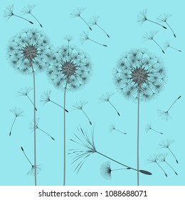 Abstract background of a dandelion for design. The wind blows the seeds of a dandelion. Template for posters, wallpapers, posters. Vector illustrations.