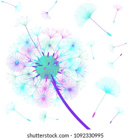Abstract background of a dandelion for design. The wind blows the seeds of a dandelion. Template for posters, wallpapers, posters. Vector illustrations.