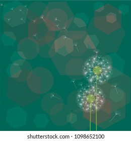 Abstract background of a dandelion for design. The wind blows the seeds of a dandelion. Template for posters, wallpapers, posters. Vector illustrations.