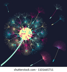 Abstract background of a dandelion for design. The wind blows the seeds of a dandelion. Template for posters, wallpapers, posters. Vector illustrations.
