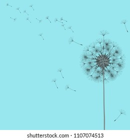 Abstract background of a dandelion for design. The wind blows the seeds of a dandelion. Template for posters, wallpapers, posters. Vector illustrations.