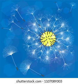 Abstract background of a dandelion for design. The wind blows the seeds of a dandelion. Template for posters, wallpapers, posters. Vector illustrations.