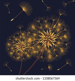Abstract background of a dandelion for design. The wind blows the seeds of a dandelion. Template for posters, wallpapers, posters. Vector illustrations.
