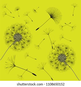 Abstract background of a dandelion for design. The wind blows the seeds of a dandelion. Template for posters, wallpapers, posters. Vector illustrations.