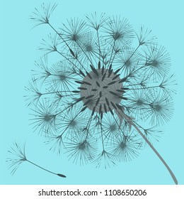 Abstract background of a dandelion for design. The wind blows the seeds of a dandelion. Template for posters, wallpapers, posters. Vector illustrations.