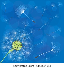 Abstract background of a dandelion for design. The wind blows the seeds of a dandelion. Template for posters, wallpapers, posters. Vector illustrations.
