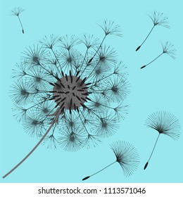 Abstract background of a dandelion for design. The wind blows the seeds of a dandelion. Template for posters, wallpapers, posters. Vector illustrations.