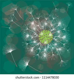 Abstract background of a dandelion for design. The wind blows the seeds of a dandelion. Template for posters, wallpapers, posters. Vector illustrations.